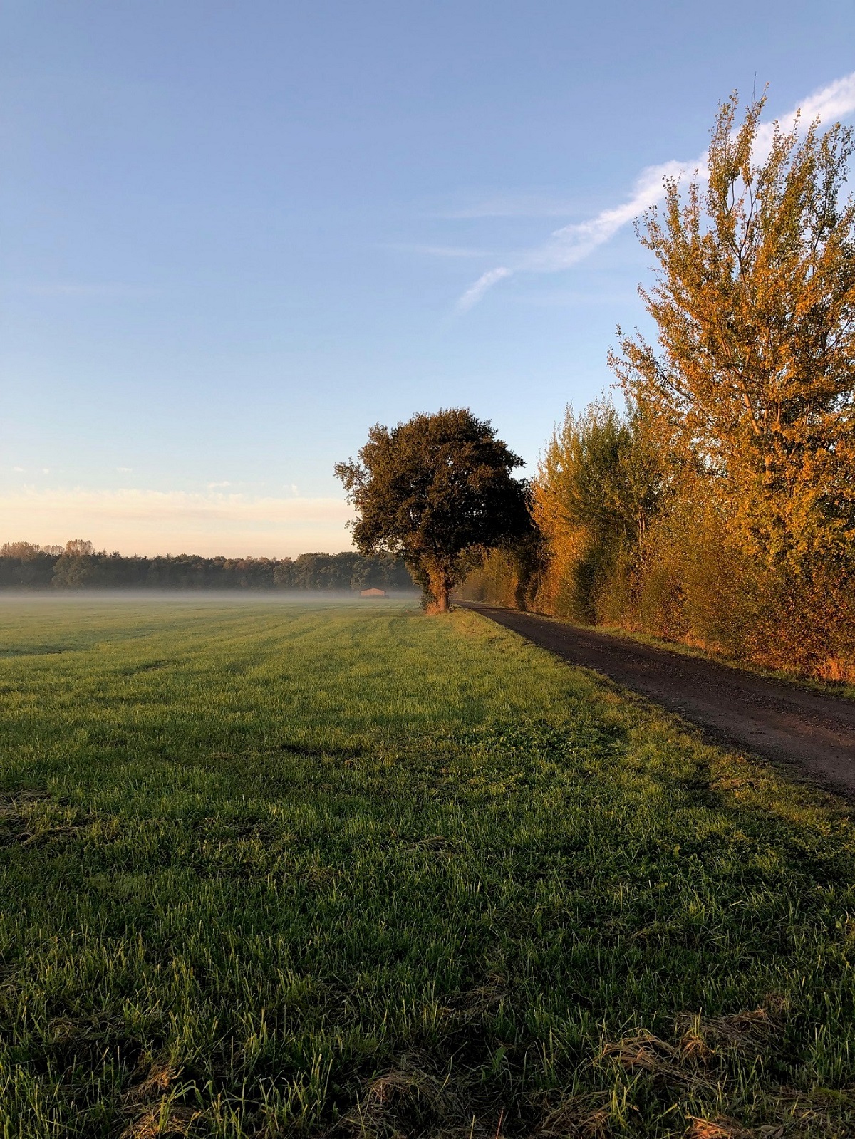 Herbst Griemshorst